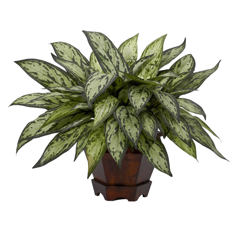 Faux Silver Queen Plant in Decorative Planter | Silver Queen Plant
Faux Silver Queen Plant in Decorative Planter | Silver Queen Plant
